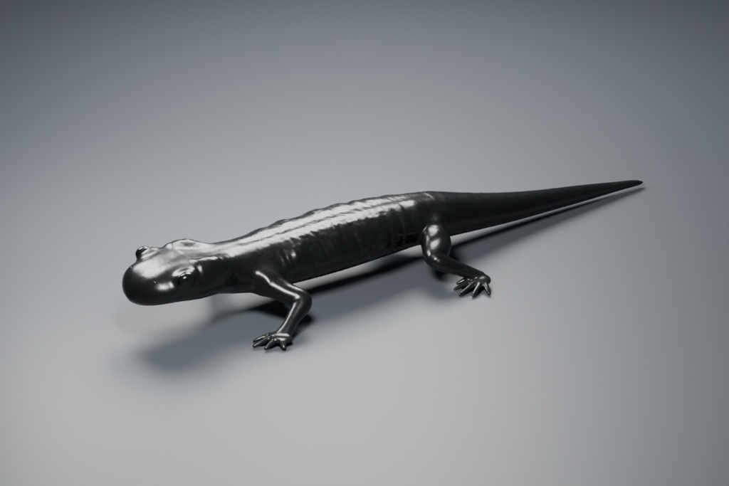 Salamandra atra - Rigged 3D Animal