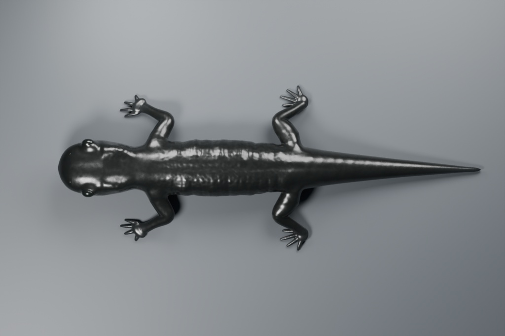 Salamandra atra - Rigged 3D Animal