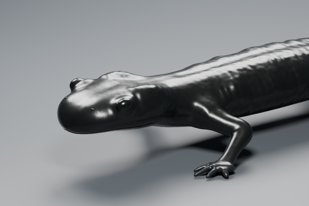 Salamandra atra - Rigged 3D Animal