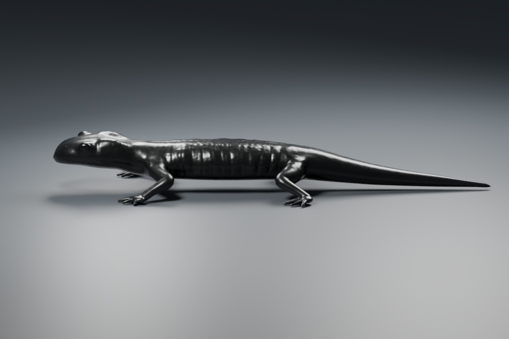 Salamandra atra - Rigged 3D Animal