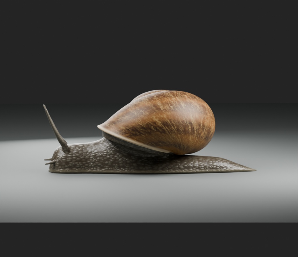 Cornu aspersum - Rigged 3D Animal