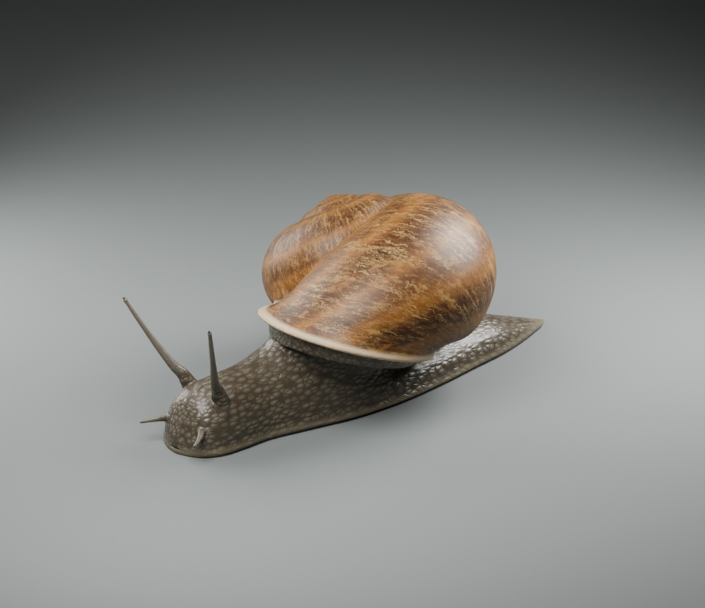 Cornu aspersum - Rigged 3D Animal