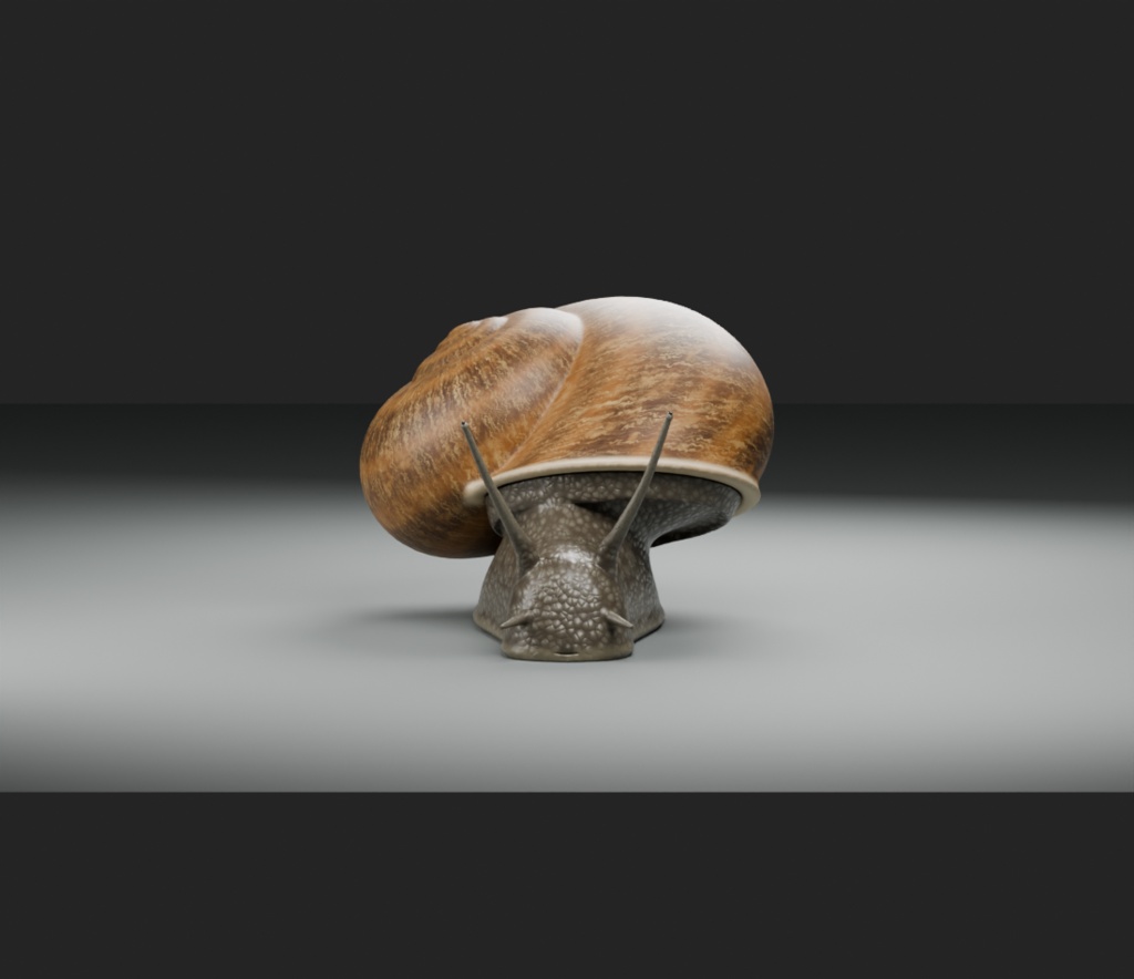 Cornu aspersum - Rigged 3D Animal