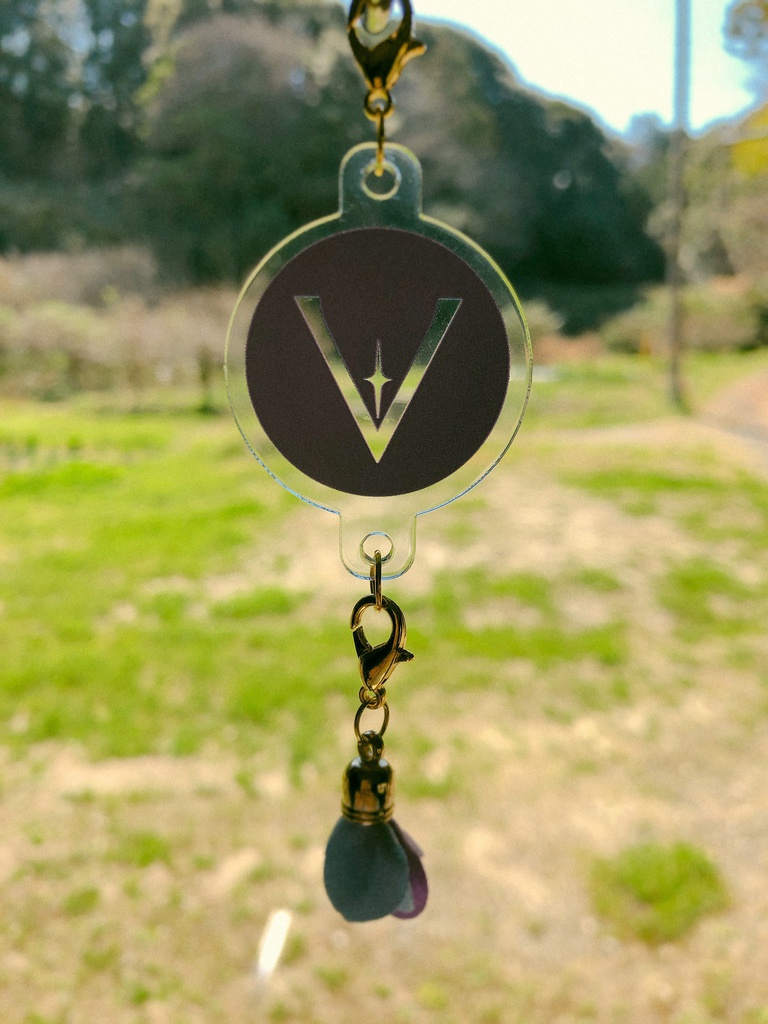 VとY連結可能アクキー