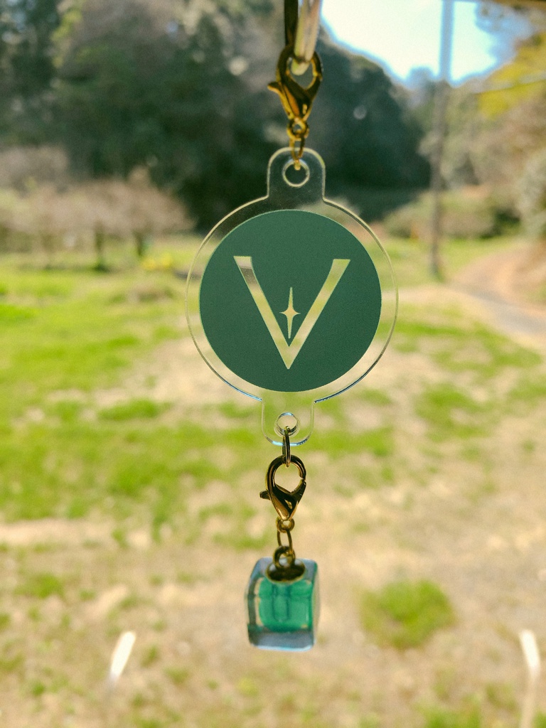 VとY連結可能アクキー