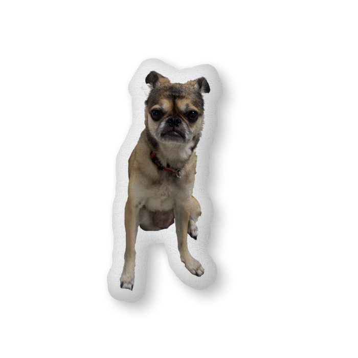 さくらクッション