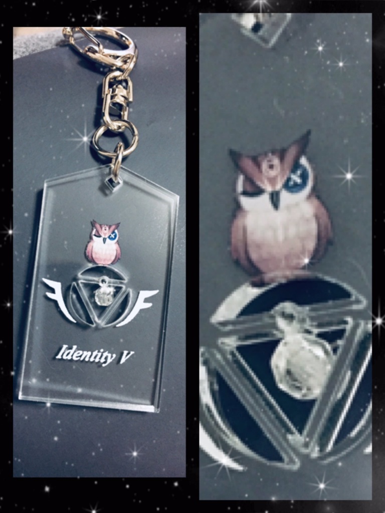 占納梟アクリルキーホルダー