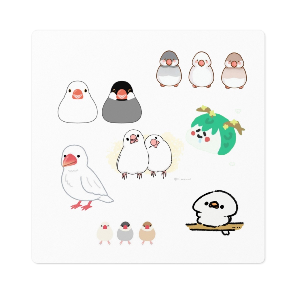 文鳥