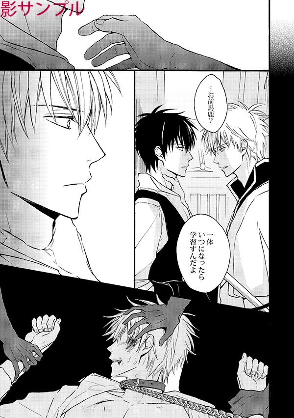 【単品】HMRJLOG 銀土再録集