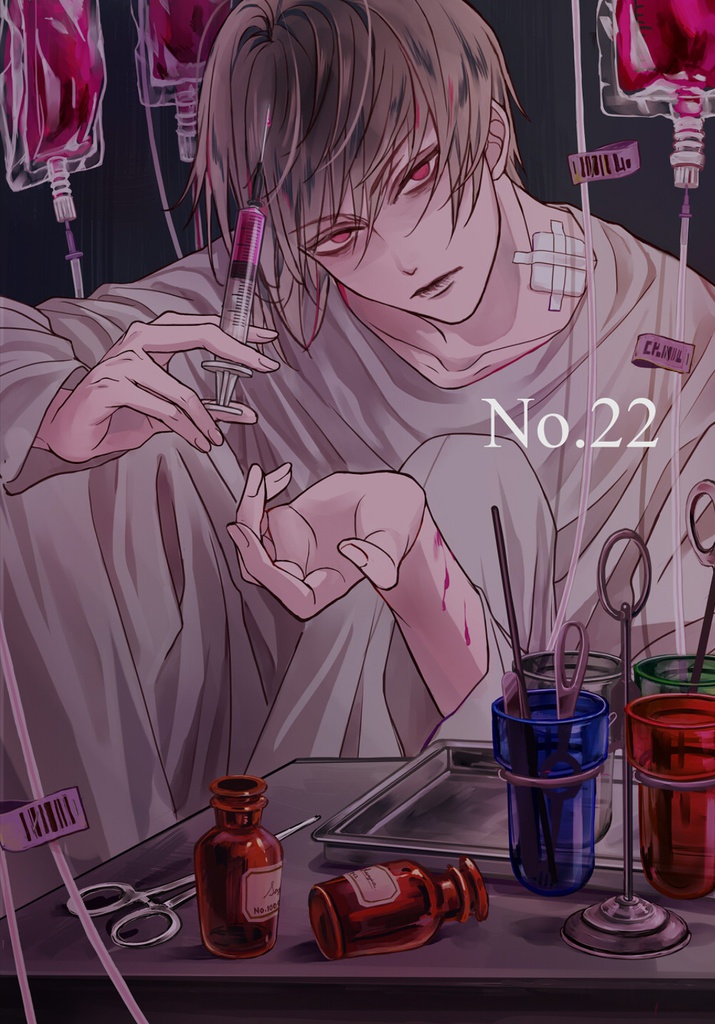 『No.22』フルカラーイラスト集