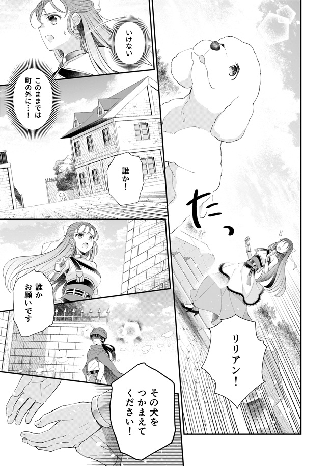 【在庫復活】ドラクエ5(主フロ) Hana Hiraku ―花開く―「私は生まれて初めて――恋を、した」