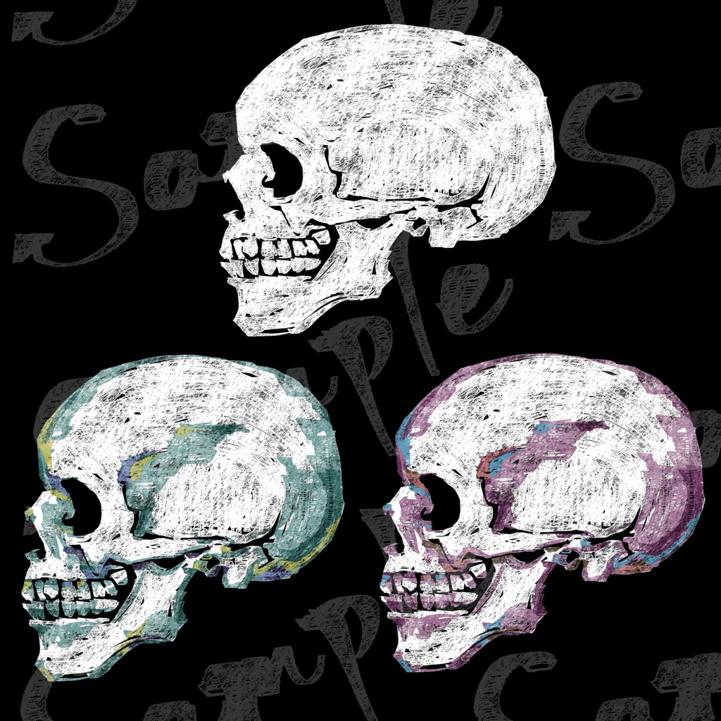 人骨詰め合わせ 肋骨 ピース 頭蓋骨 3点 すら Booth