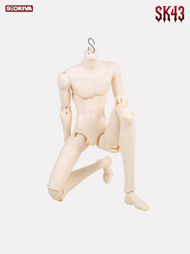 青木 - AOKI（SK43）予約販売，1月出荷