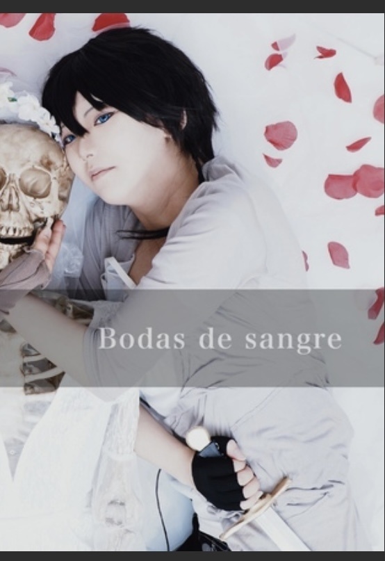 Bodas de sangre