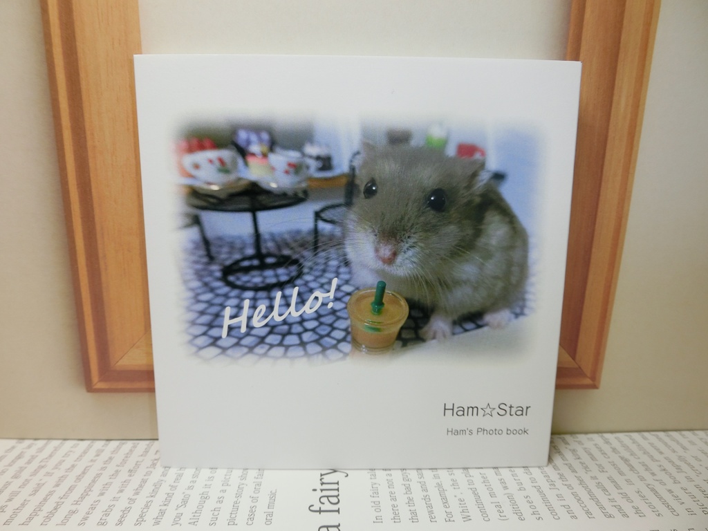 Ham☆Star  Photo Book＜廃版＞