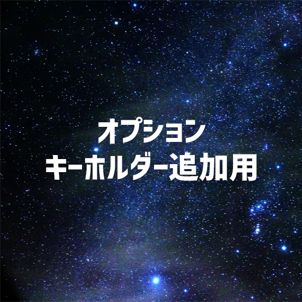 オプション：キーホルダー追加