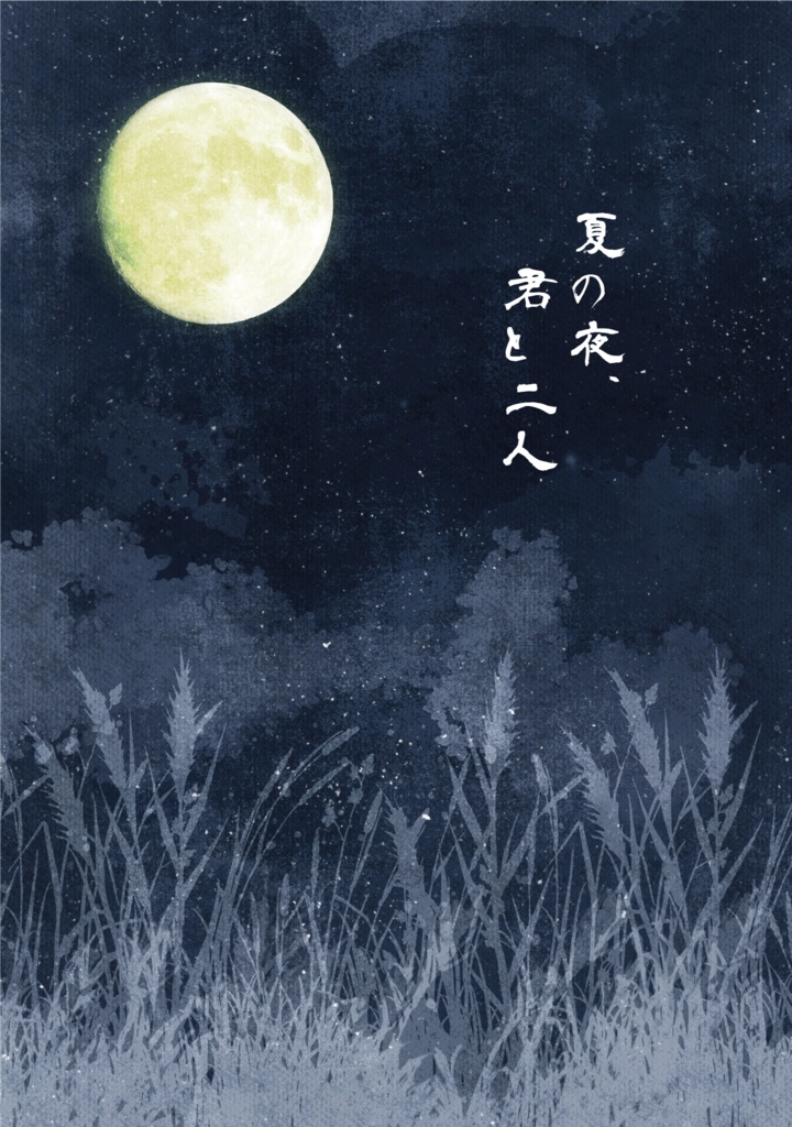 夏の夜、君と二人