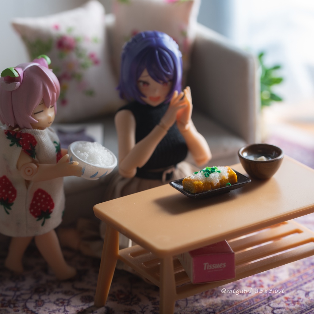 肉系おかず(バリエーションあり)