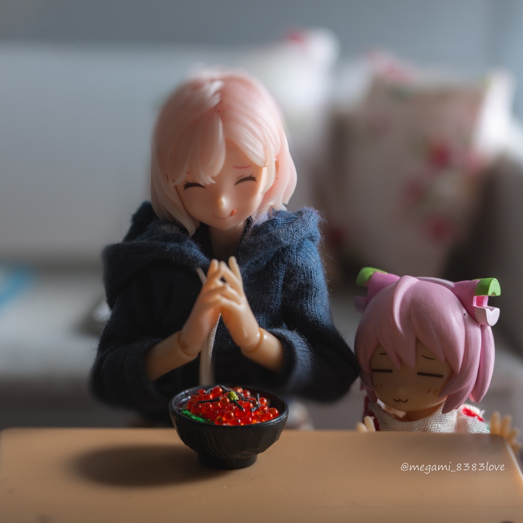 丼めし(バリエーションあり)