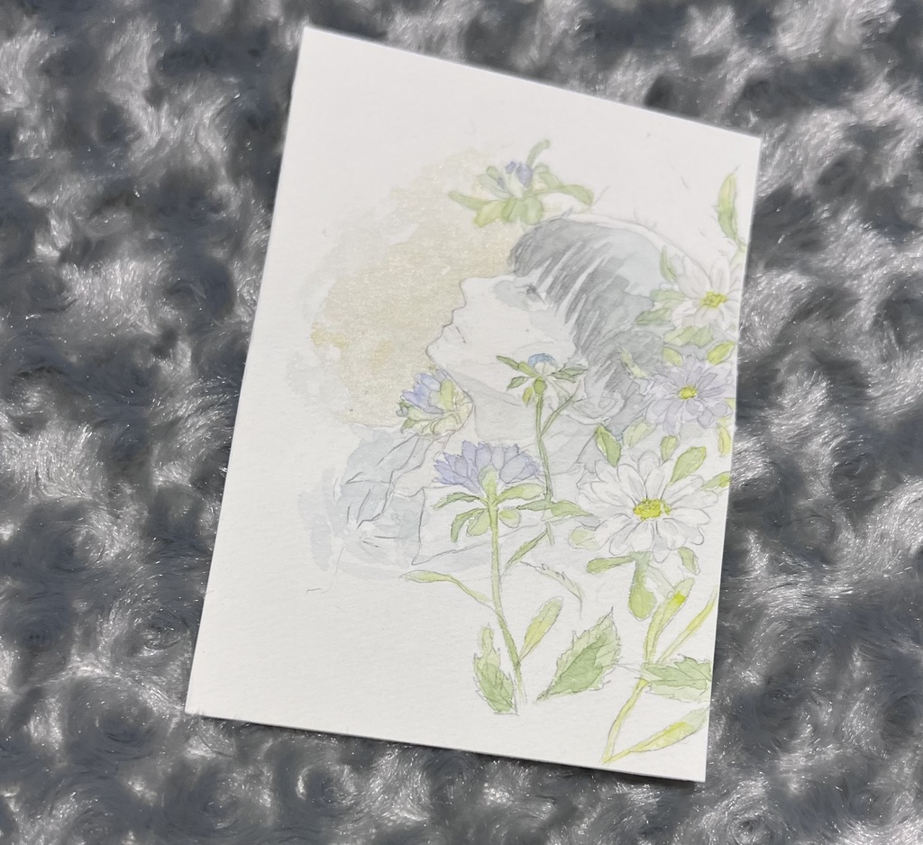 原画(エゾギク)