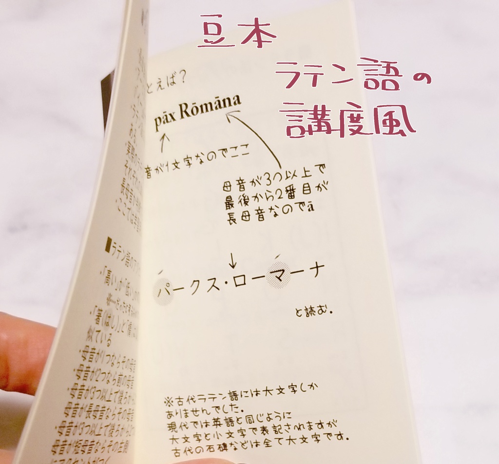 コンスタンティノス教授の至福の一杯