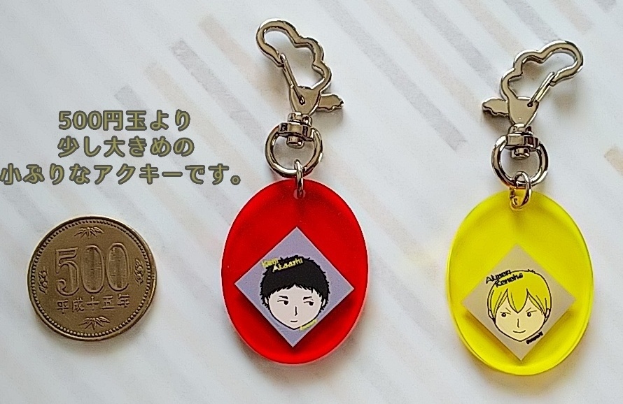 【ハイキューデザイン】 あかあし、このはのプチアクキー　羽根カン