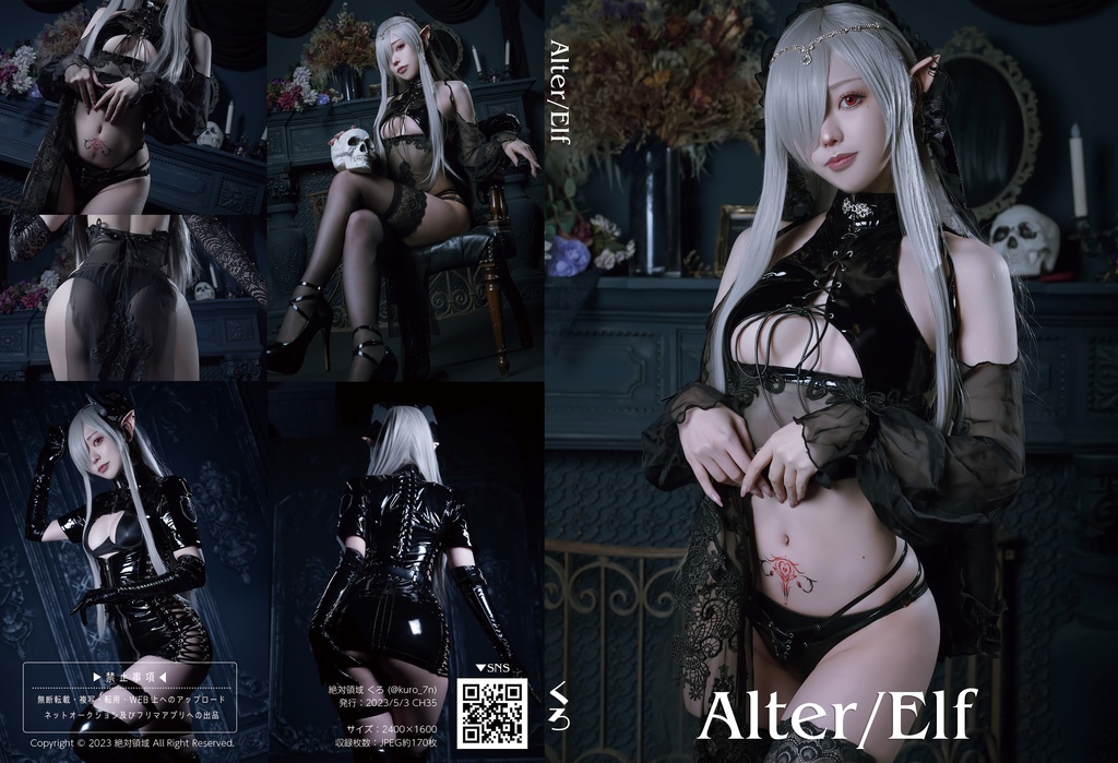 【CH35】ROM写真集「Alter/Elf」