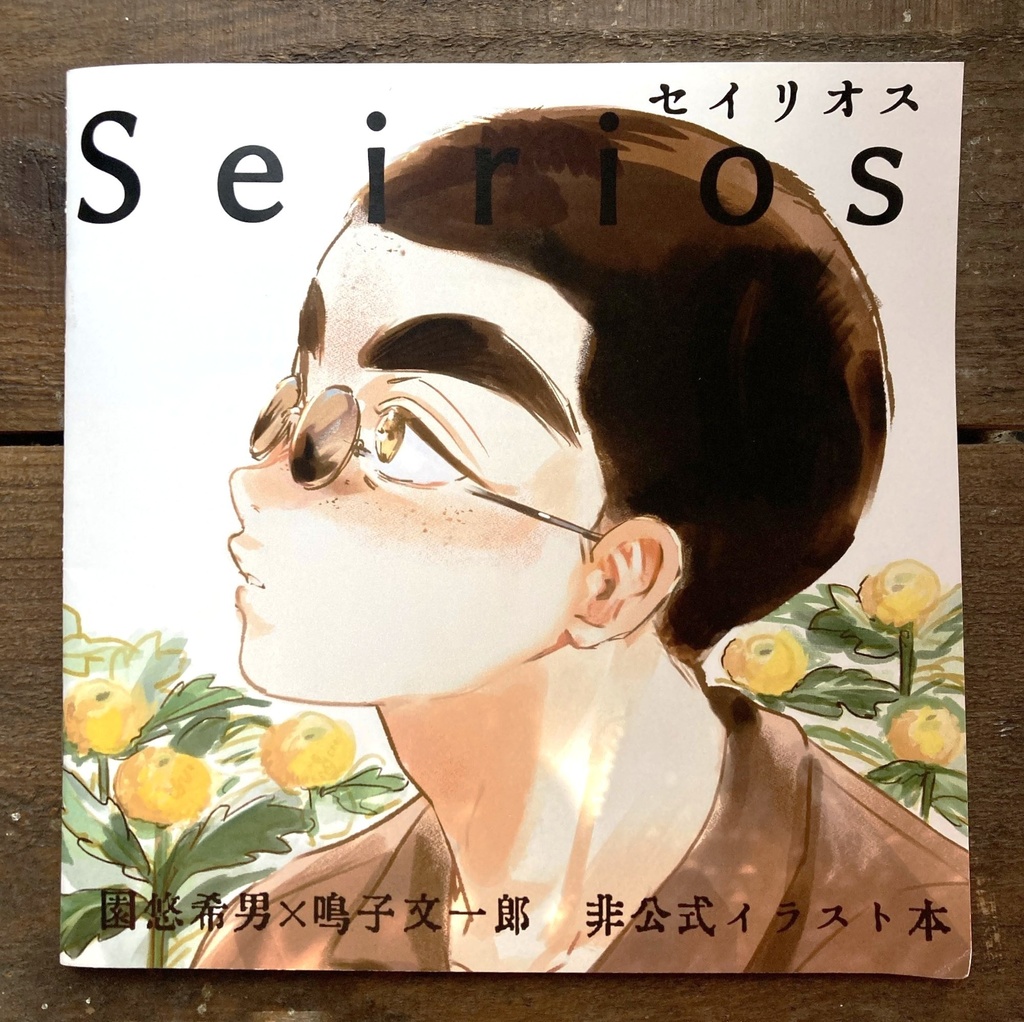 園鳴イラスト集『Seirios』