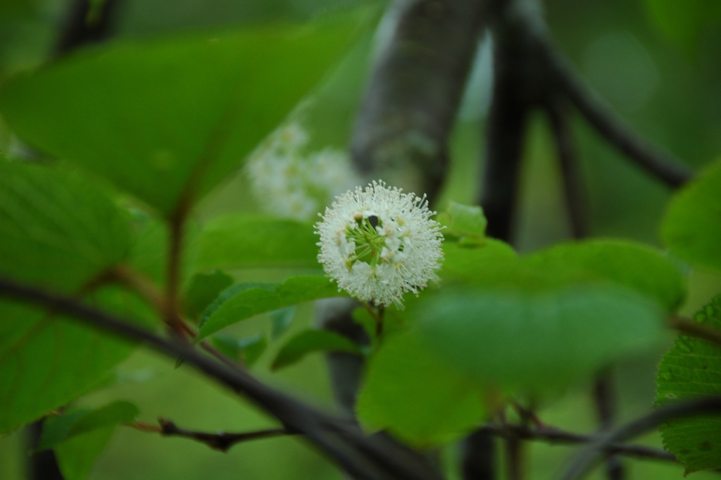 【Dautoシリーズ小話集】