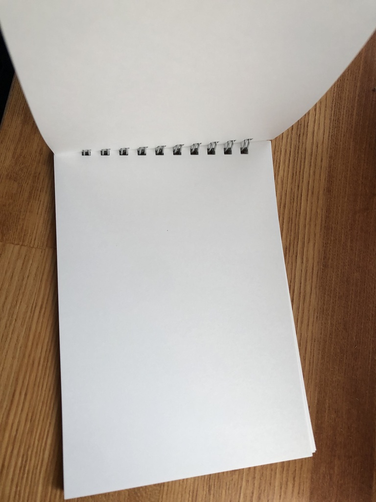 リグルライトバグ