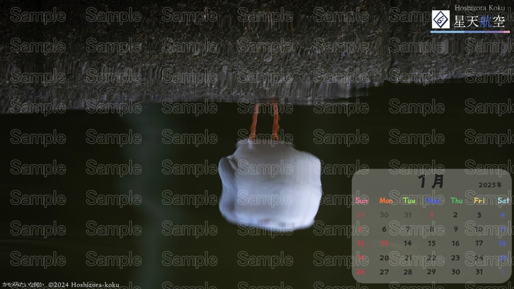 星天航空オリジナルカレンダー2025年1月分/3枚セット(デスクトップ用)