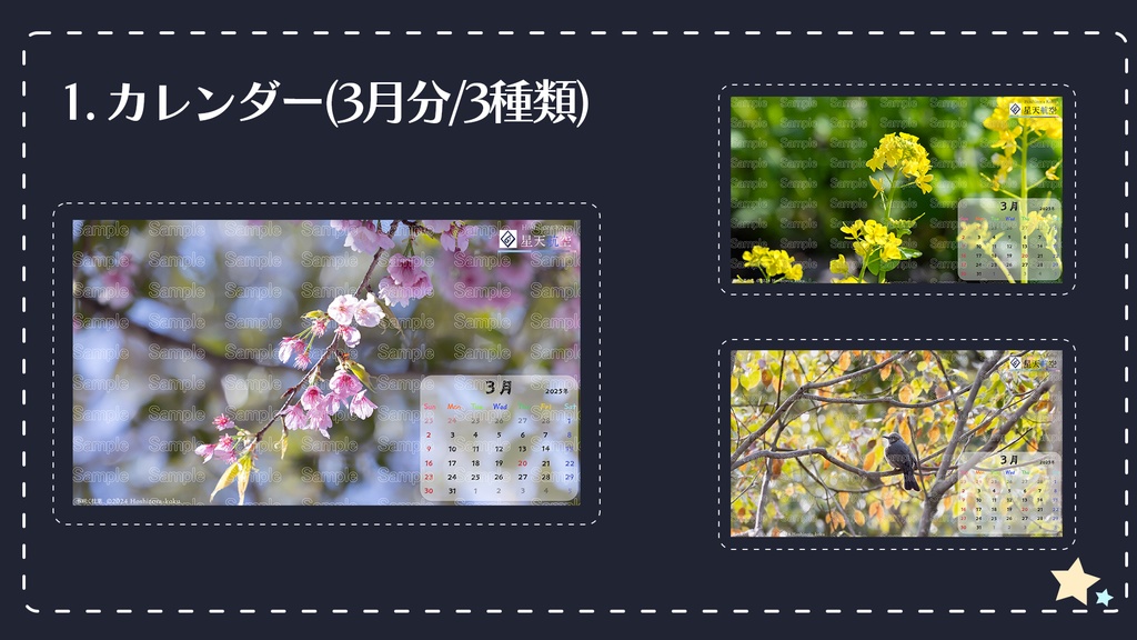 星天航空オリジナルカレンダー2025年3月分/3枚セット(デスクトップ用)