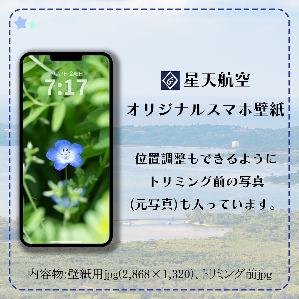 【スマホ壁紙】元気いっぱいネモフィラ