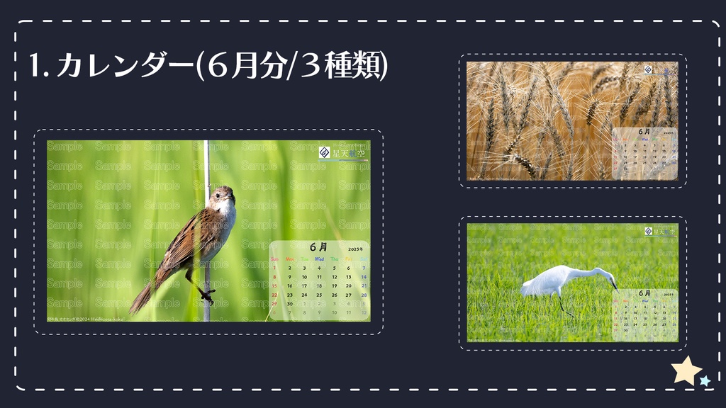 星天航空オリジナルカレンダー2025年6月分/3枚セット(デスクトップ用)