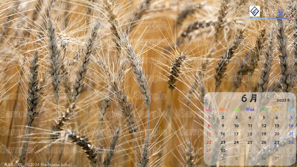 星天航空オリジナルカレンダー2025年6月分/3枚セット(デスクトップ用)