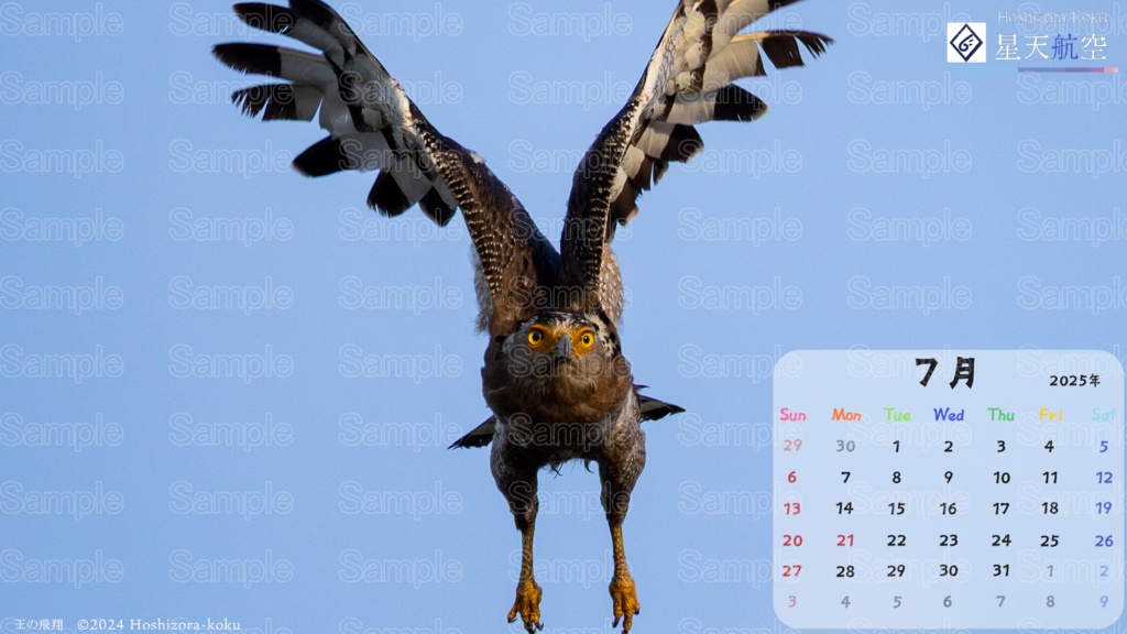 星天航空オリジナルカレンダー2025年7月分/3枚セット(デスクトップ用)