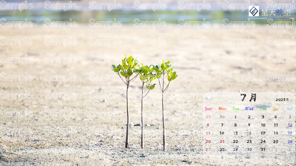 星天航空オリジナルカレンダー2025年7月分/3枚セット(デスクトップ用)