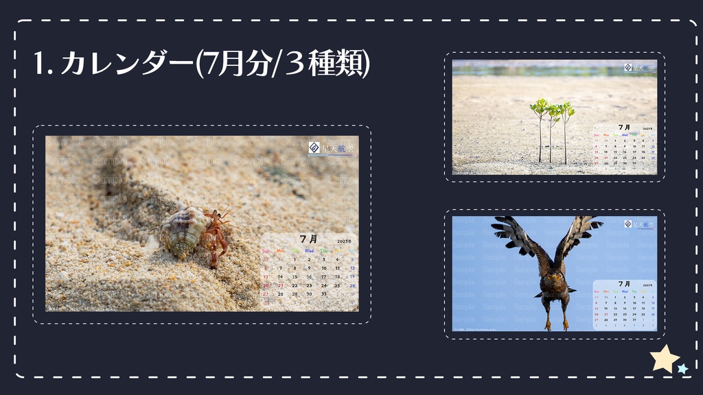 星天航空オリジナルカレンダー2025年7月分/3枚セット(デスクトップ用)