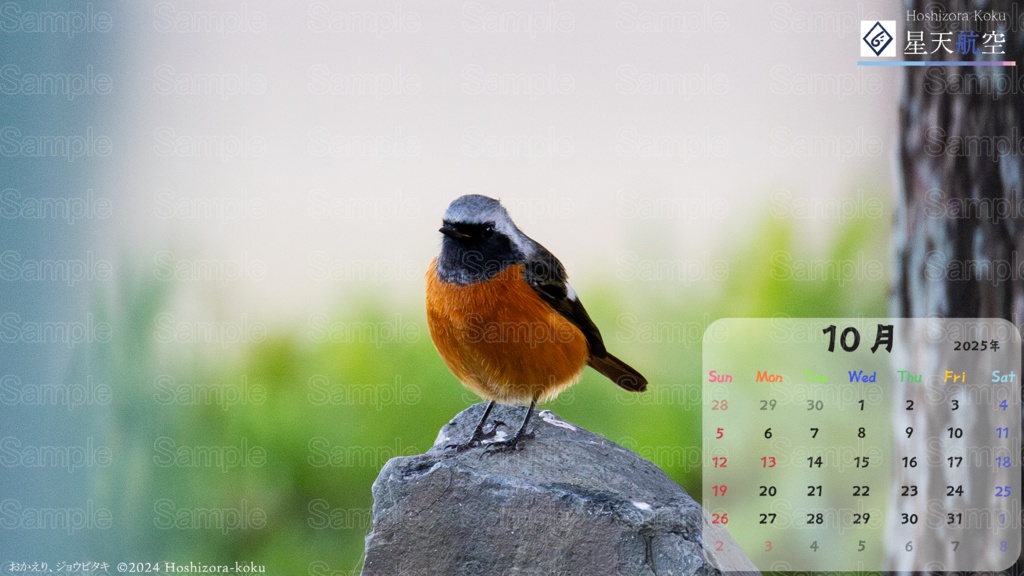 星天航空オリジナルカレンダー2025年10月分/3枚セット(デスクトップ用)