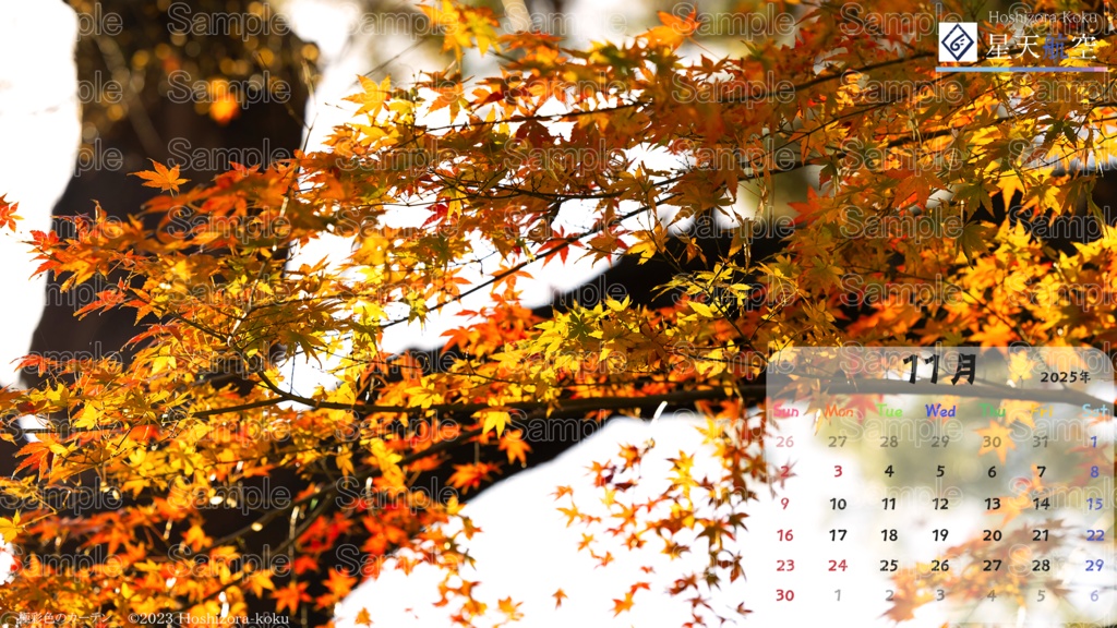 星天航空オリジナルカレンダー2025年11月分(デスクトップ用)