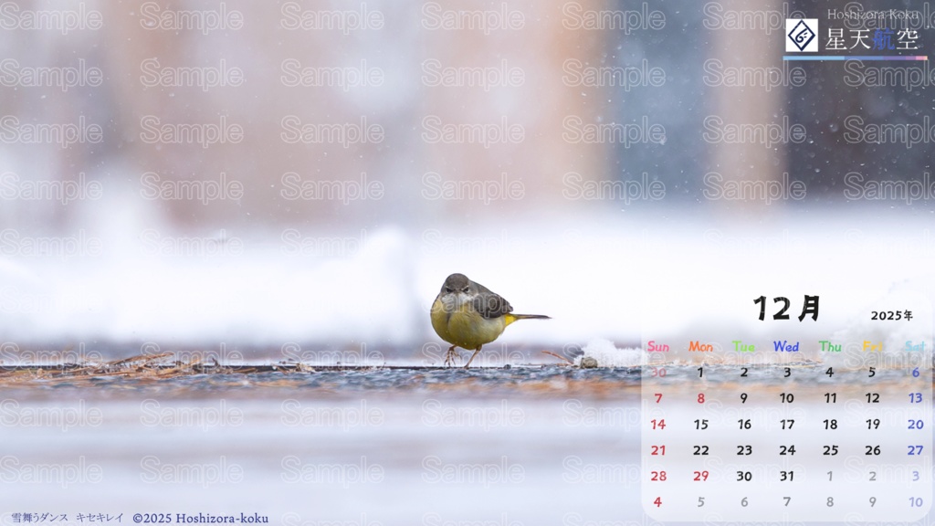 星天航空オリジナルカレンダー2025年12月分（デスクトップ用）