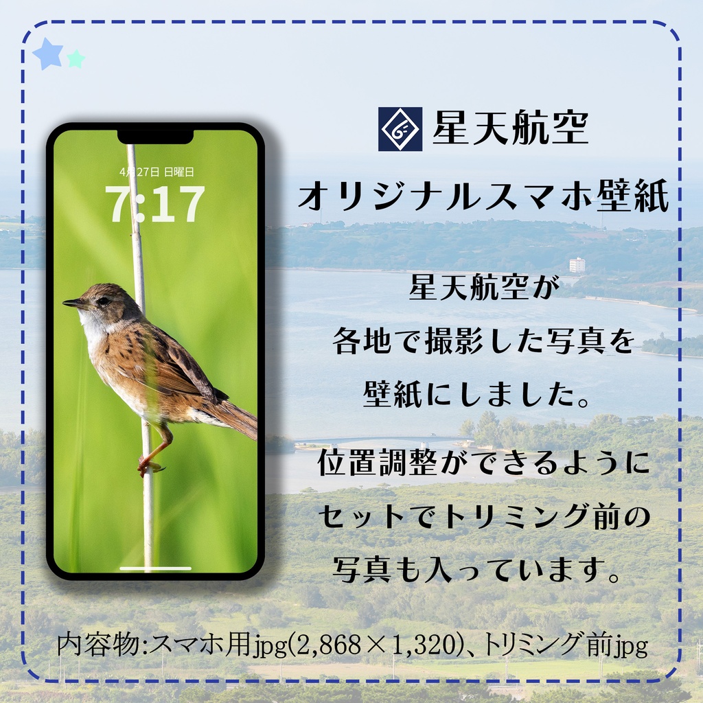 【スマホ壁紙】朝日のオオセッカ