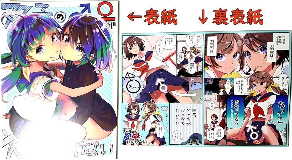 双子の♂♀がわからない