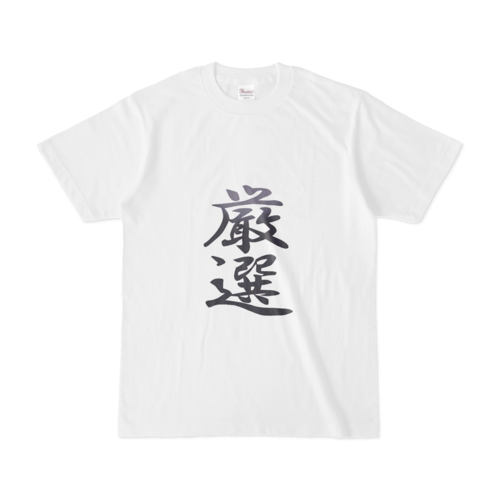 厳選Tシャツ各種