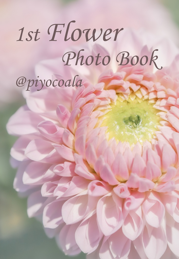 1st Flower Photo Book