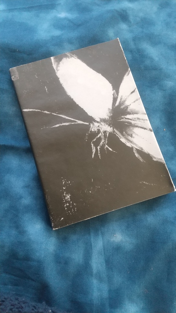 『さようならイーハトーヴ』鯉実ちと紗 著