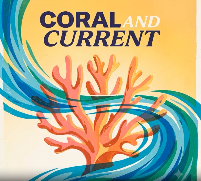 CORAL AND CURRENT