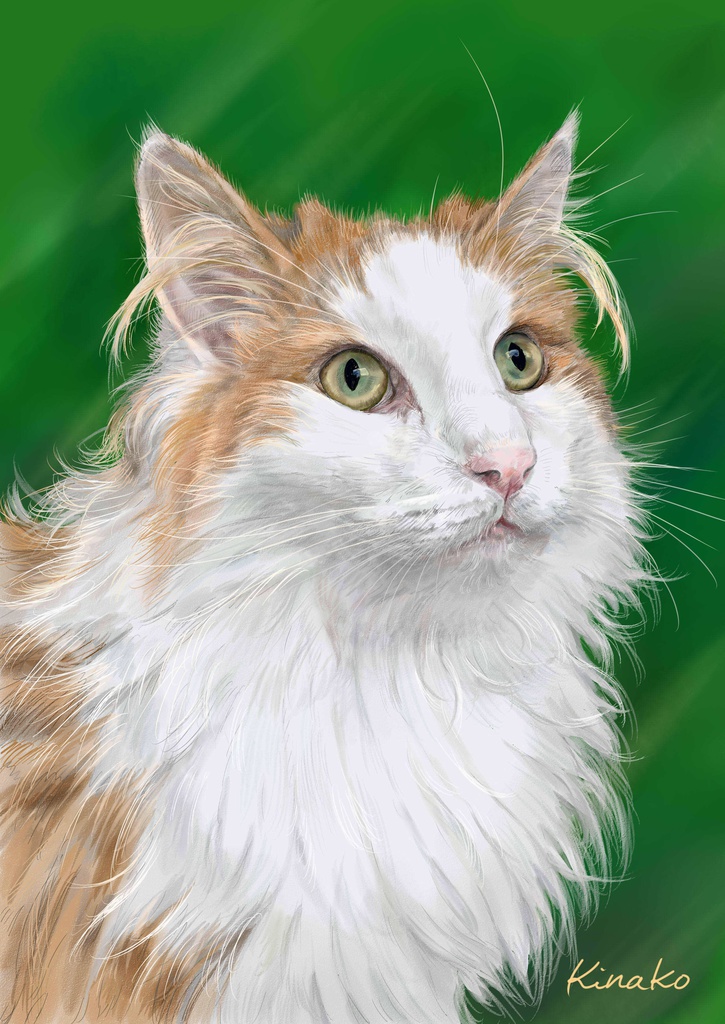 ノルウェージャン　ジン君