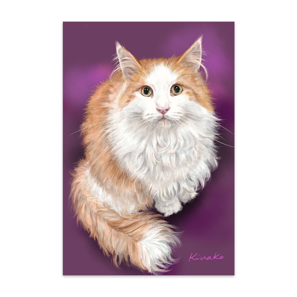 ノルウェージャン　ジン君２