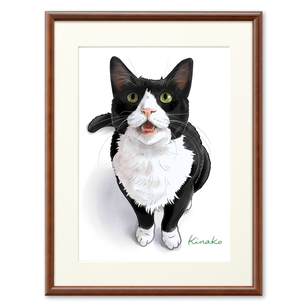 ハチワレのミミくん